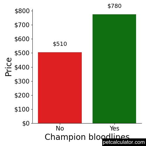 Price of American Foxhound by Champion bloodlines 