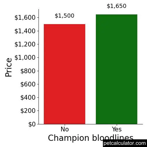 Price of American Hairless Terrier by Champion bloodlines 