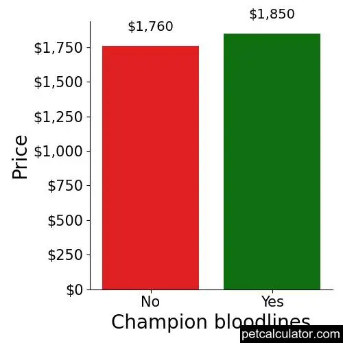 Price of Aussiedoodle by Champion bloodlines 