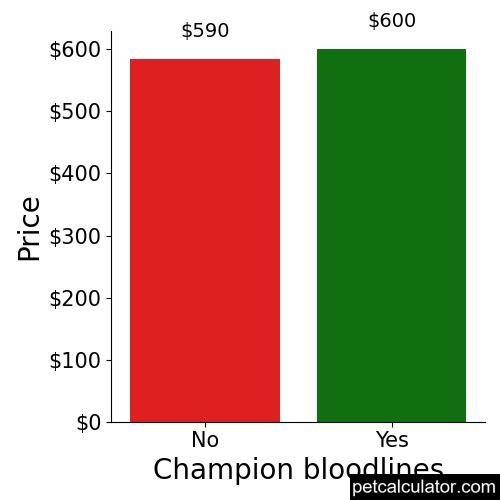 Price of Australian Kelpie by Champion bloodlines 