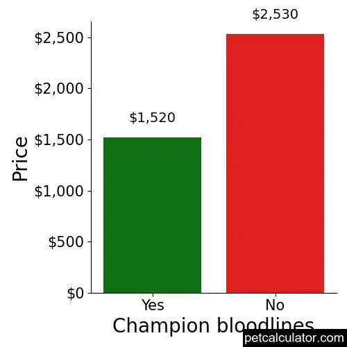 Price of Basenji by Champion bloodlines 