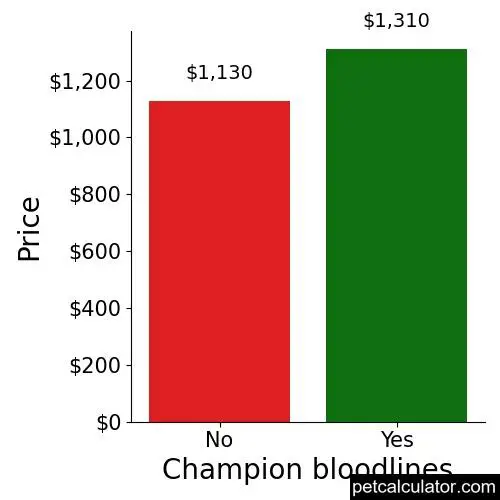 Price of Boykin Spaniel by Champion bloodlines 