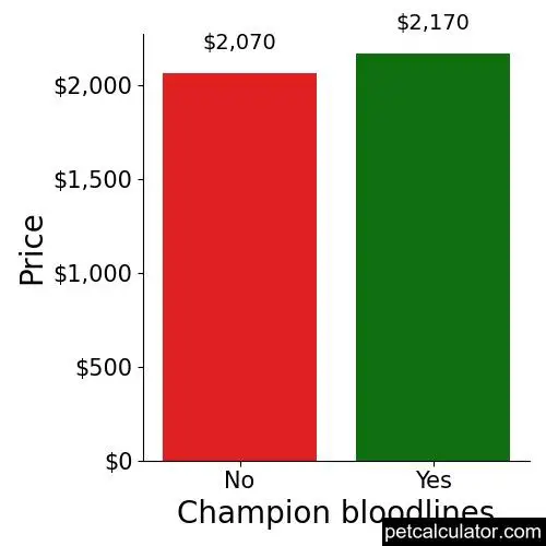 Price of Cavachon by Champion bloodlines 