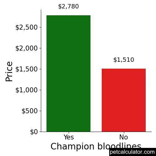 Price of Chihuahua by Champion bloodlines 