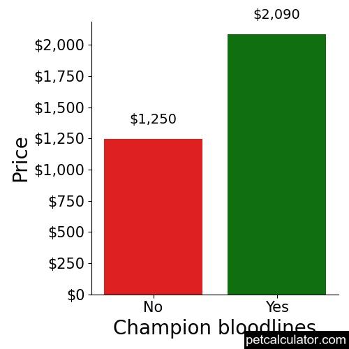 Price of Chow Chow by Champion bloodlines 