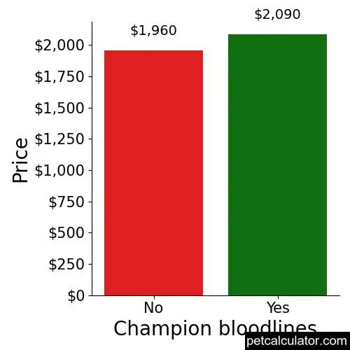 Price of Coton de Tulear by Champion bloodlines 