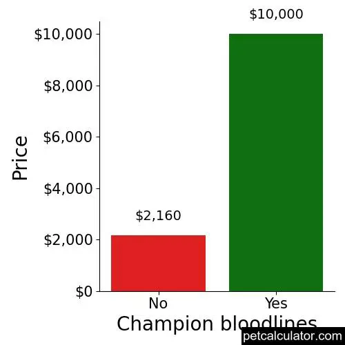 Price of Field Spaniel by Champion bloodlines 