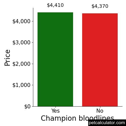 Price of French Bulldog by Champion bloodlines 