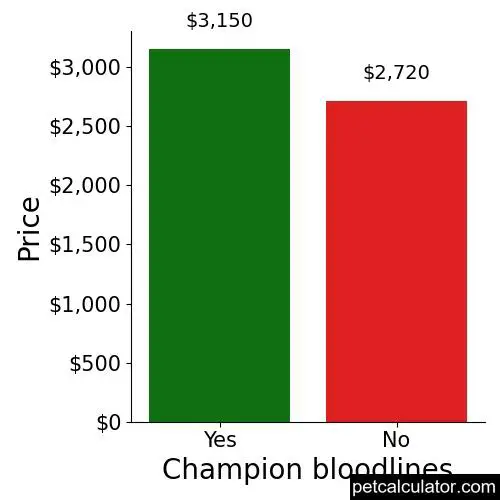 Price of French Spaniel by Champion bloodlines 
