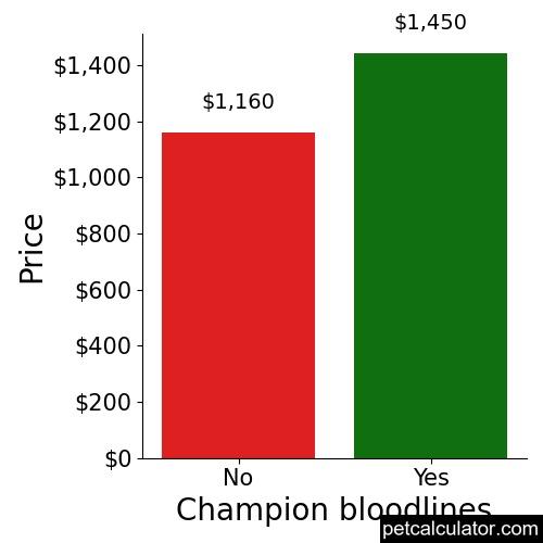 Price of Gordon Setter by Champion bloodlines 