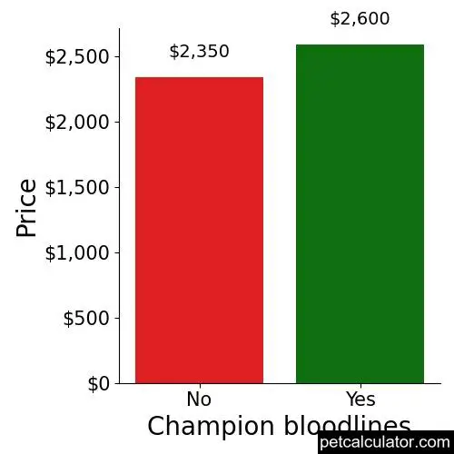Price of Greater Swiss Mountain Dog by Champion bloodlines 