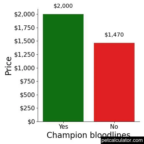 Price of Harlequin Pinscher by Champion bloodlines 