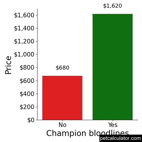 Price of Komondor by Champion bloodlines 