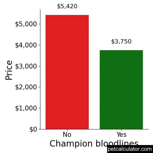 Price of Lagotto Romagnolo by Champion bloodlines 