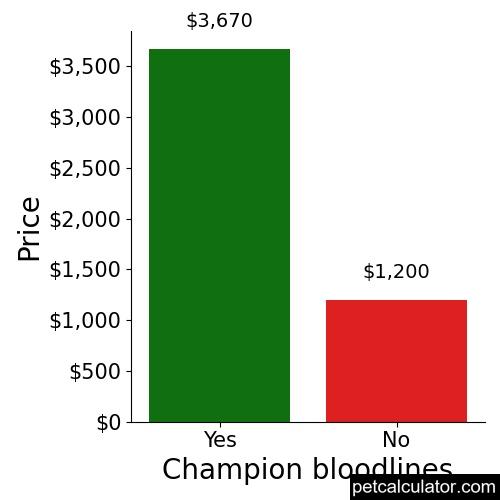 Price of Lowchen by Champion bloodlines 