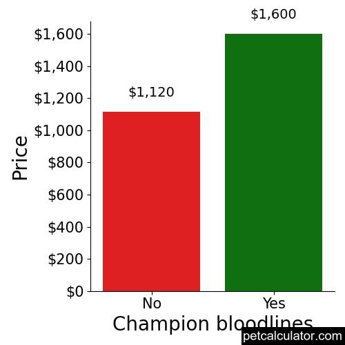Price of Malchi by Champion bloodlines 