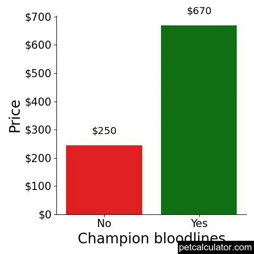 Price of Mountain Feist by Champion bloodlines 