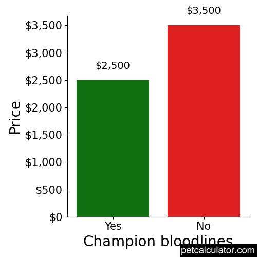 Price of Norfolk Terrier by Champion bloodlines 