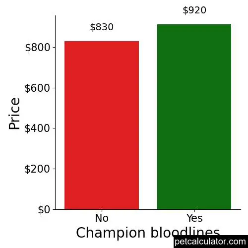 Price of Norwegian Elkhound by Champion bloodlines 