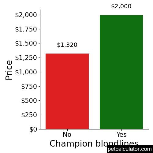 Price of Peek A Poo by Champion bloodlines 