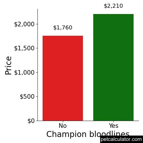 Price of Pekingese by Champion bloodlines 