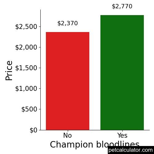 Price of Portuguese Water Dog by Champion bloodlines 