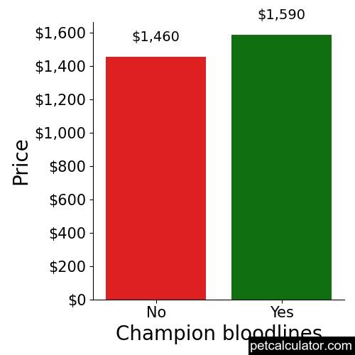 Price of Pyredoodle by Champion bloodlines 