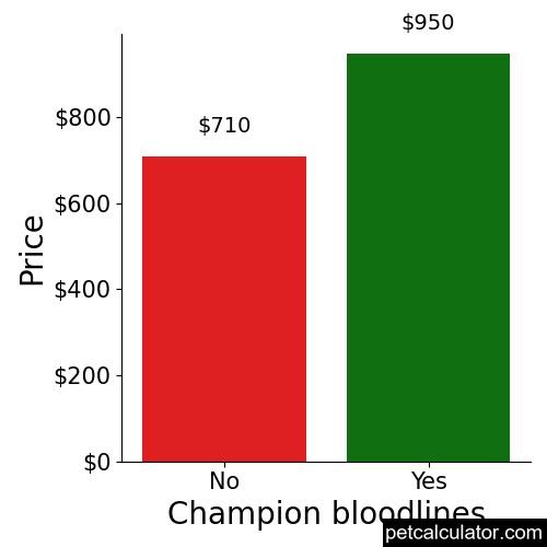 Price of Rat Terrier by Champion bloodlines 