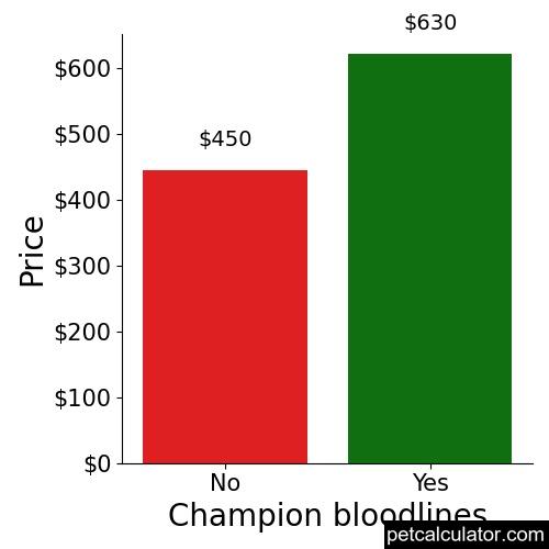Price of Redbone Coonhound by Champion bloodlines 