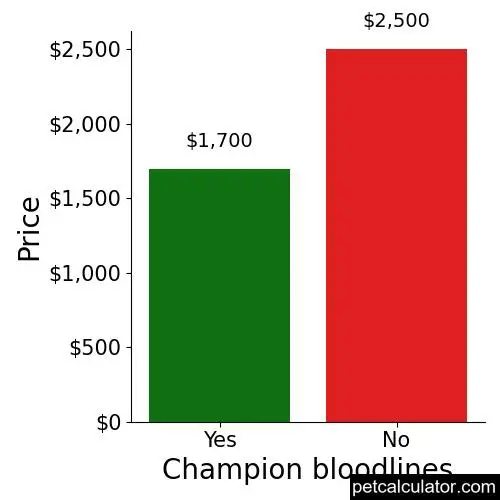 Price of Russian Toy by Champion bloodlines 