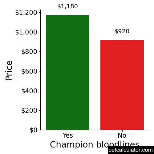 Price of Sarplaninac by Champion bloodlines 