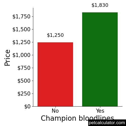 Price of Shetland Sheepdog by Champion bloodlines 