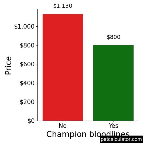 Price of Shiranian by Champion bloodlines 
