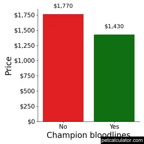 Price of Silky Terrier by Champion bloodlines 