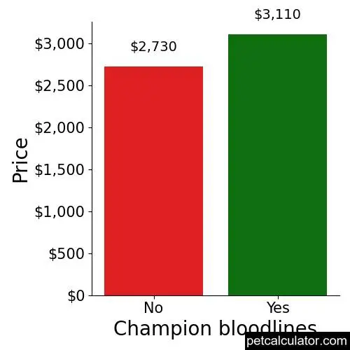 Price of Toy Poodle by Champion bloodlines 