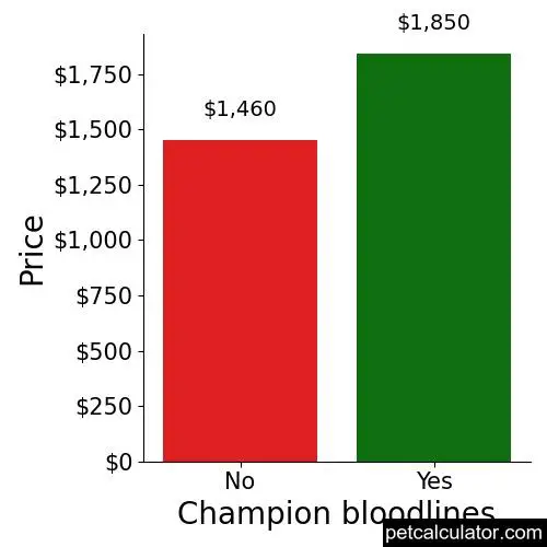 Price of Vizsla by Champion bloodlines 