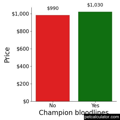 Price of Weimaraner by Champion bloodlines 