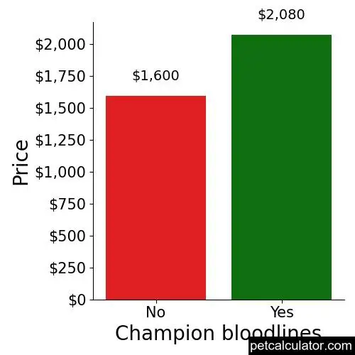 Price of Wire Fox Terrier by Champion bloodlines 