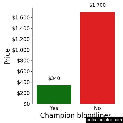 Price of Yorkie Apso by Champion bloodlines 
