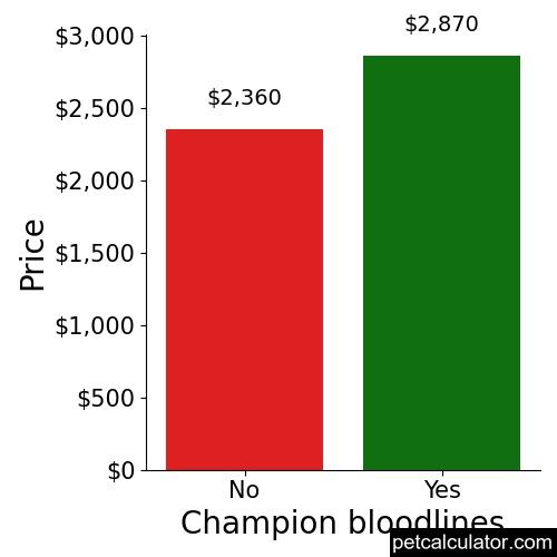 Price of Yorkshire Terrier by Champion bloodlines 