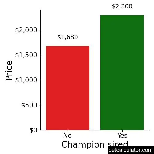 Price of Dachshund by Champion sired 