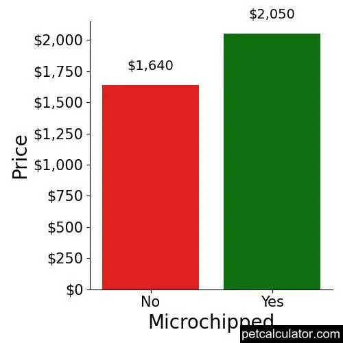 Price of Dachshund by Microchipped 