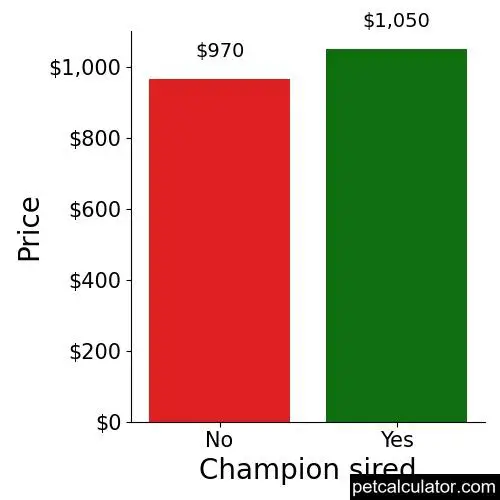 Price of Designer Breed Large by Champion sired 