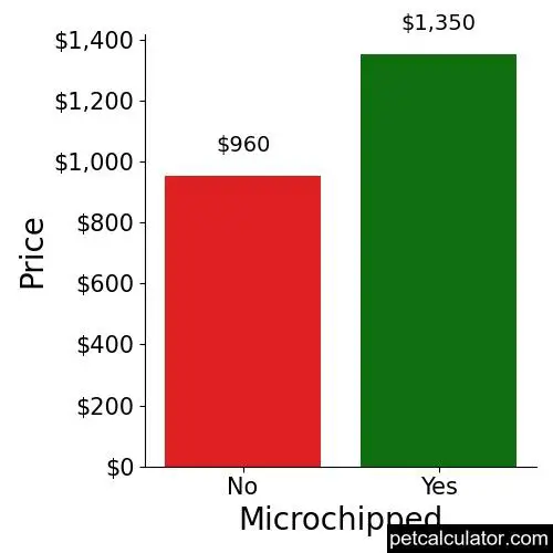 Price of Designer Breed Large by Microchipped 