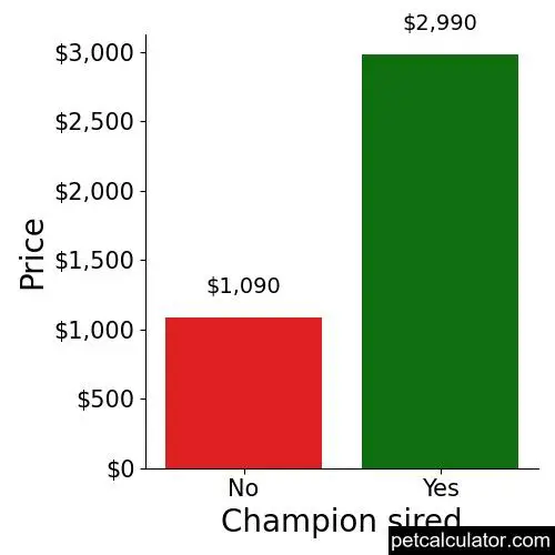 Price of Designer Breed Medium by Champion sired 