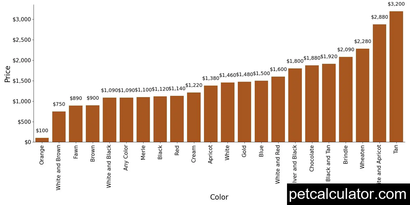 Price of Designer Breed Small by Color 