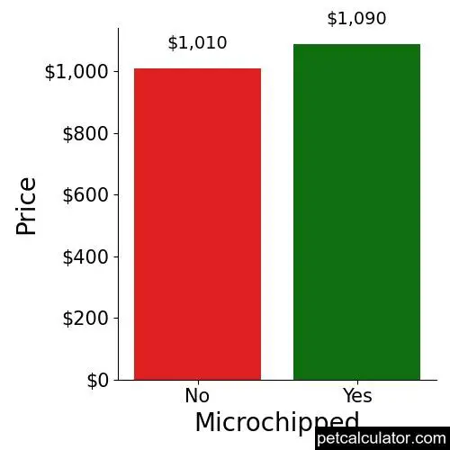Price of English Setter by Microchipped 