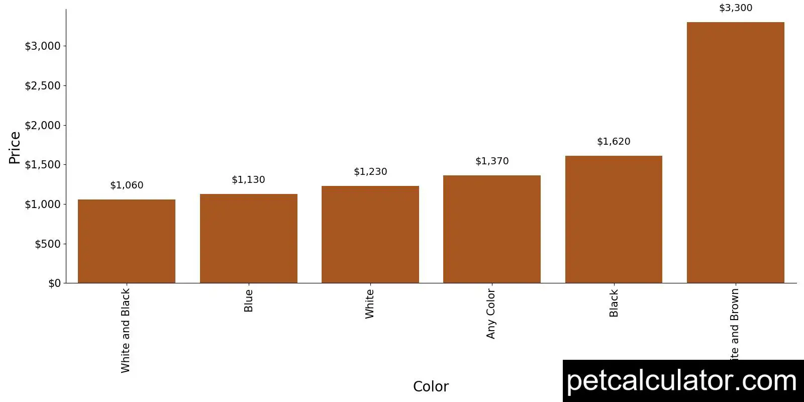 Price of English Springer Spaniel by Color 