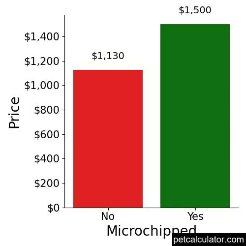 Price of Flat-Coated Retriever by Microchipped 