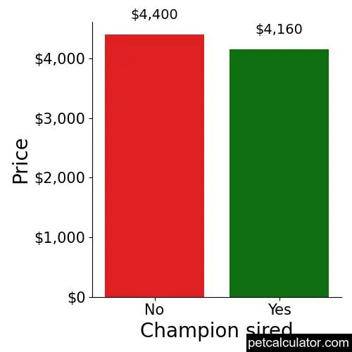 Price of French Bulldog by Champion sired 